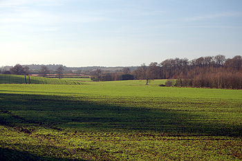 The view towards Carters Grove from Horsepool Lane Jaunary 2012